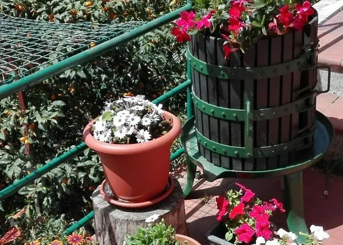Casa Ofelia