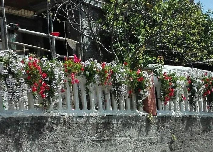 Casa Ofelia