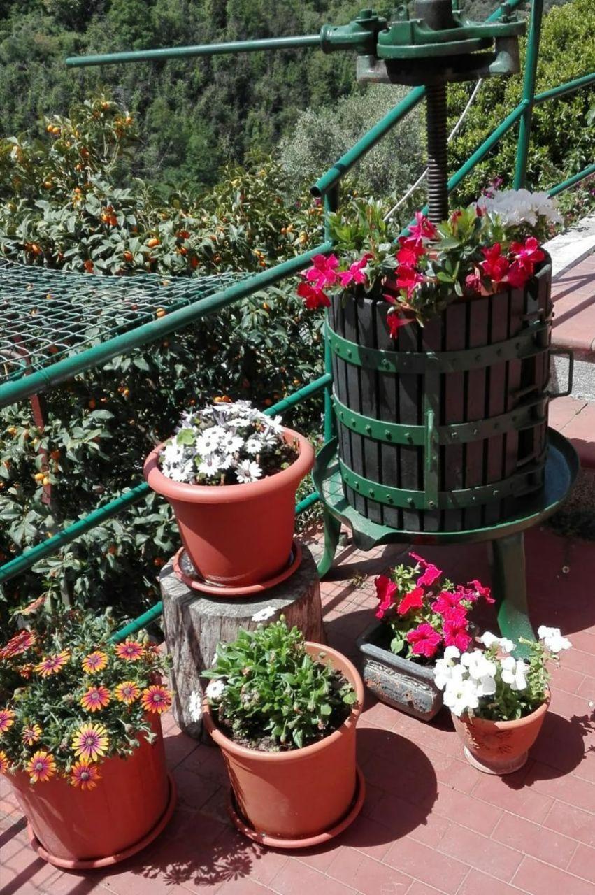 Casa Ofelia Holiday home Levanto