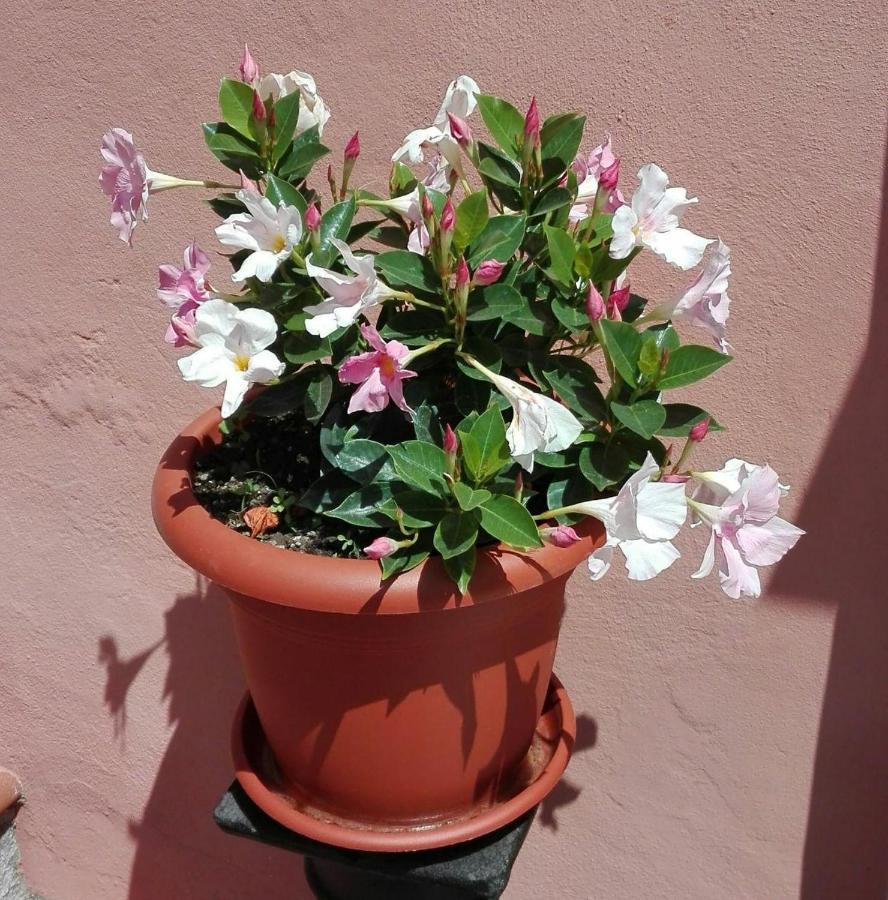 Casa Ofelia Holiday home
